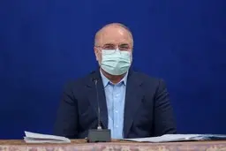 
 اقتصاد دولتی تبدیل به کوه رانت شده است 