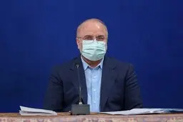 
 اقتصاد دولتی تبدیل به کوه رانت شده است 