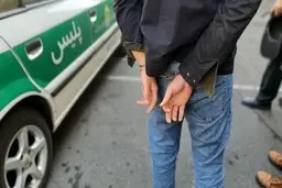 
 متهم اسیدپاشی پارک شهریاراعتراف کرد