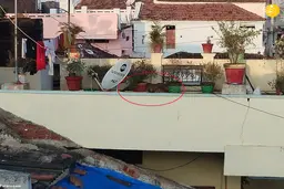 ورود پلنگ به خانه وحشت آفرید 