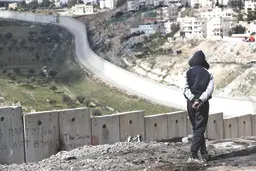 ماندن تنها راه مقاوت است 