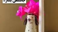 ایده بازیافت خلاقانه بطری‌های دوغ آبعلی | دیگه بطری هارو دور ننداز باهاش دکوری بساز +ویدئو