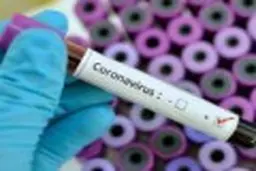 جنجال تست‌های ۸۵۰ هزارتومانی کرونا در مهمانی‌ها