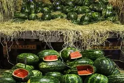 
برگشت هندوانه صادراتی ایران به ترکیه به دلیل ناسازگاری برخی کشورهای عربی
