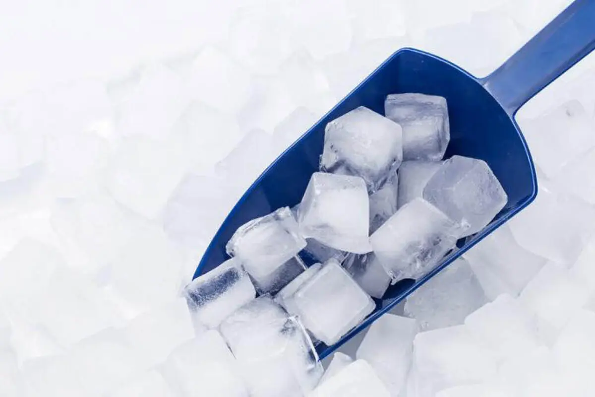 آیا شما هم عاشق یخ خوردن هستید؟ | چرا برخی افراد یخ خوردن را دوست دارند؟