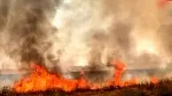 وقوع آتش سوزی در اراضی منابع طبیعی شمال شرق تهران
