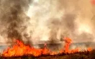 وقوع آتش سوزی در اراضی منابع طبیعی شمال شرق تهران