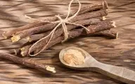 شیرین بیان: از داروی باستانی تا درمان‌های مدرن | خواص درمانی و عوارض احتمالی شیرین بیان