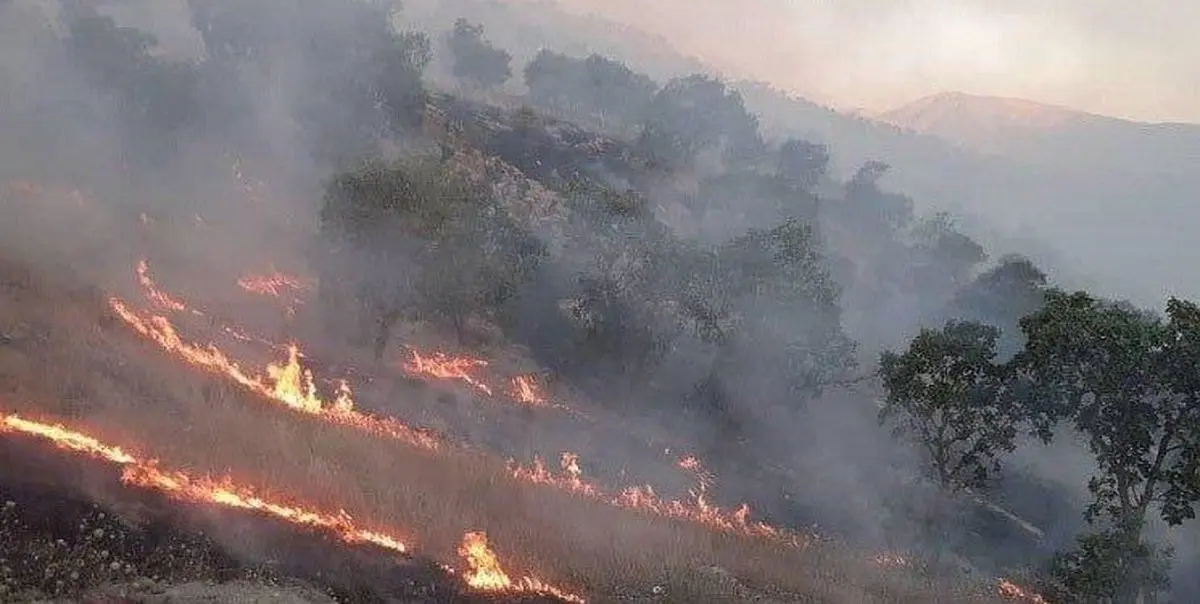 
یک کشته در آتش‌سوزی جنگل‌های «پاوه» کرمانشاه 
