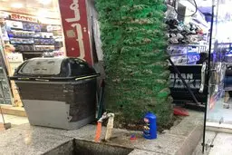 ماجرای معروف‌ترین نخل اهواز، که از وسط یک پاساژ سربرآورده و زنده مانده است 