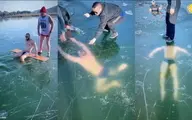  شناگر ماجراجو زیر یخ تا پای مرگ پیش رفت!+ویدئو