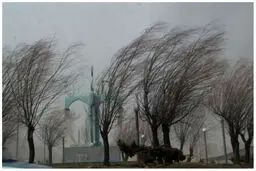  هشدار وزش باد شدید در تهران | تهران آماده باش شد 
