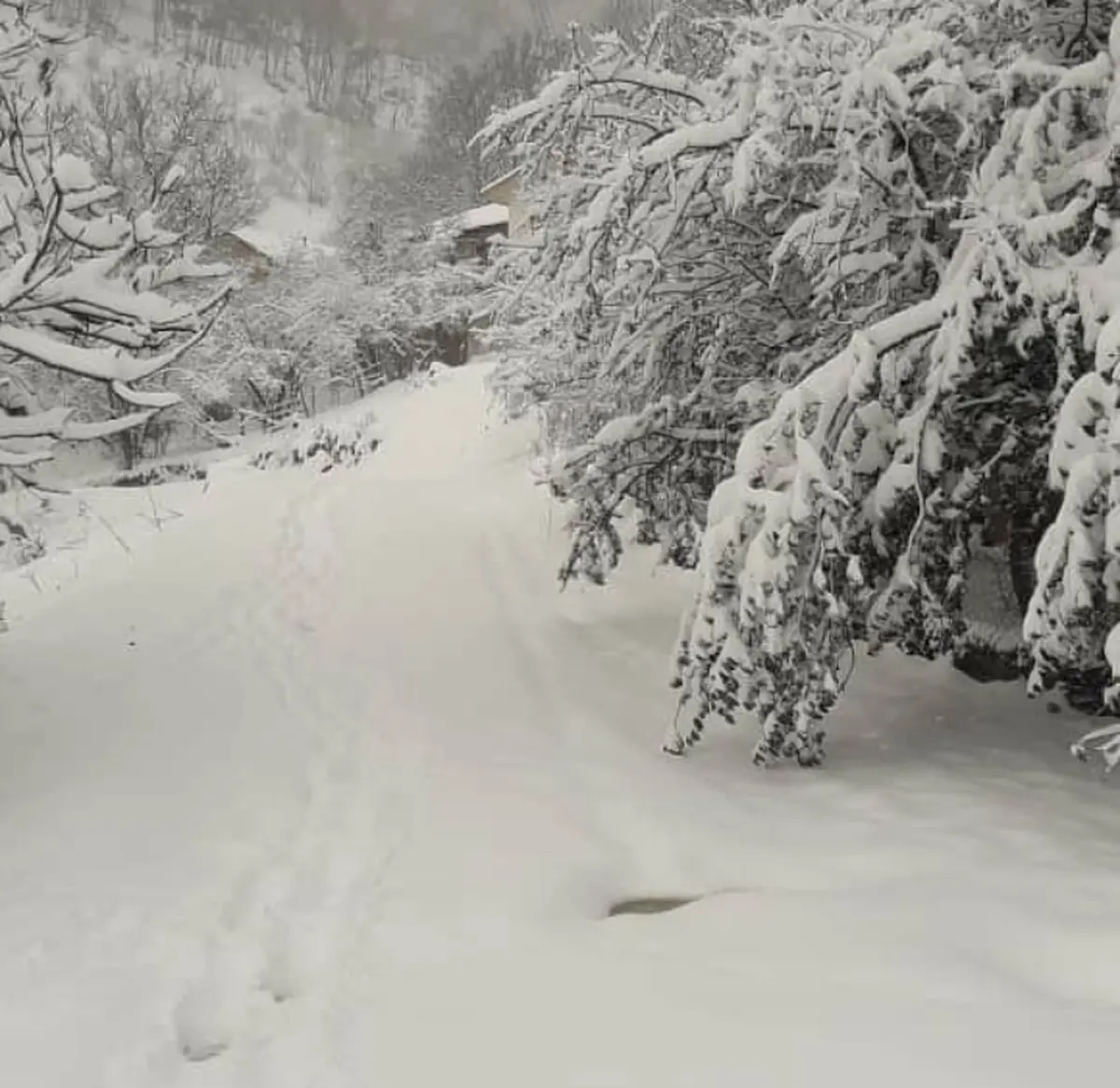 
بارش سنگین برف  | راه ارتباطی ۶۰۰ روستای لرستان مسدودشد