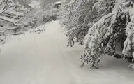 
بارش سنگین برف  | راه ارتباطی ۶۰۰ روستای لرستان مسدودشد