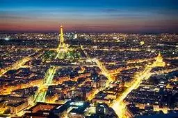  قاتل رنگارنگ درختان | وقتی زیبایی‌های مصنوعی شهر طبیعت را می‌کُشد +ویدئو