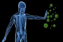 چگونه سیستم ایمنی بدن خود را نابود کنیم!؟ | معرفی عوامل ضعیف شدن سیستم ایمنی بدن