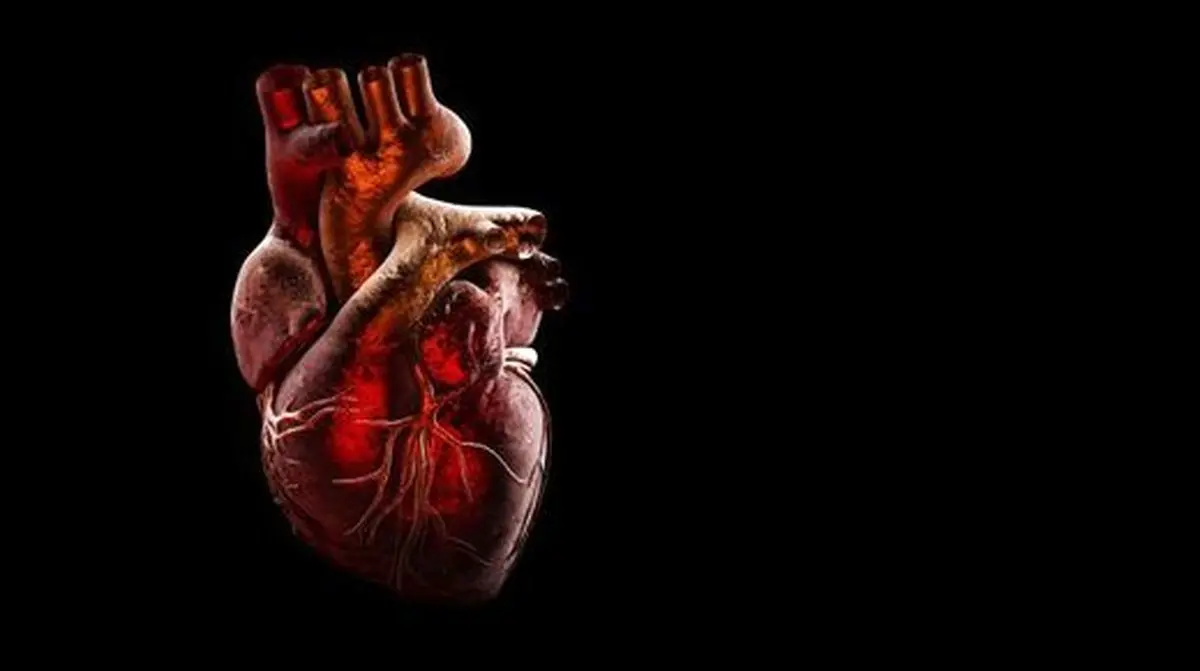 خطر بیماری قلبی در کمین بهبود یافتگان کرونا 