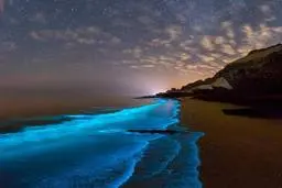 لحظه زیبای درخشندگی امواج آبی خلیج فارس ! + ویدئو