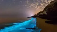 لحظه زیبای درخشندگی امواج آبی خلیج فارس ! + ویدئو