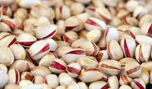 تولید پسته در جهان | چین و ترکیه صدرنشین، ایران در جایگاه سوم +تصویر