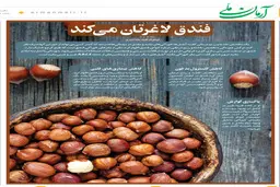فندق لاغرتان می‌کند