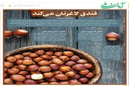 فندق لاغرتان می‌کند