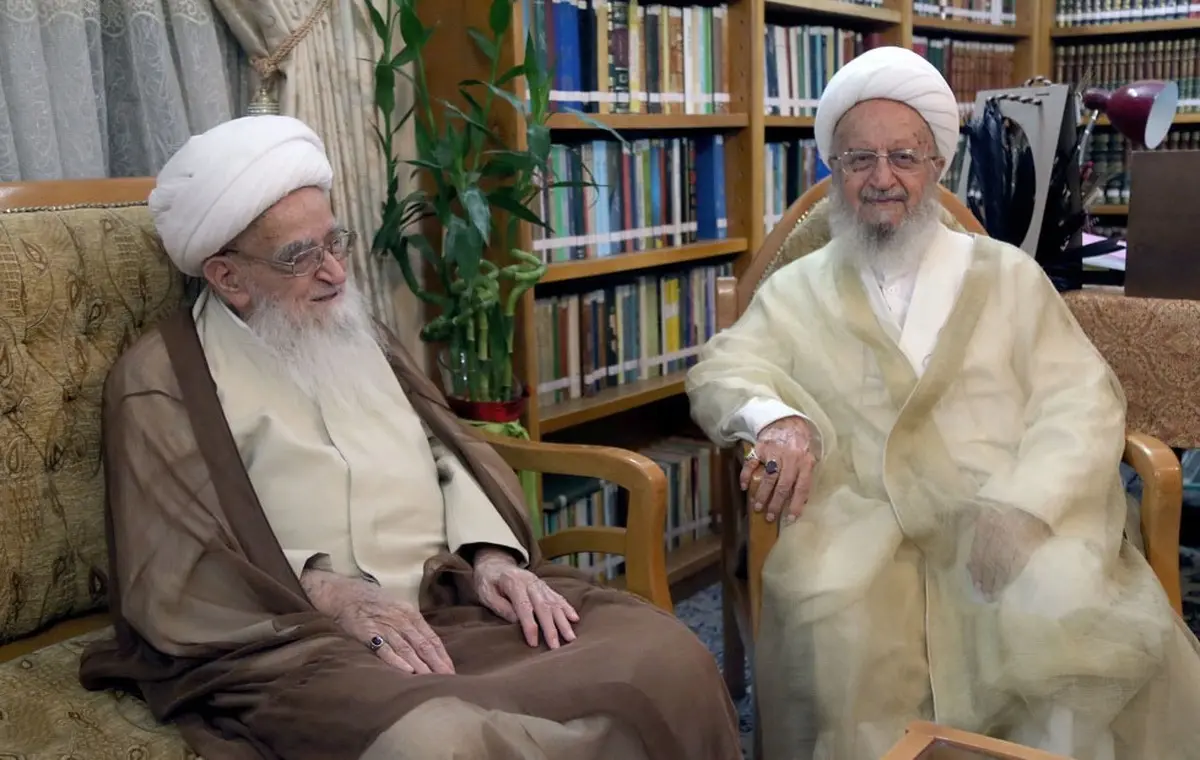 آیت الله مکارم: حضور موثر آیت الله صافی گلپایگانی در عرصه های مختلف اجتماعی منشأ برکات زیادی برای اسلام و انقلاب بود‌