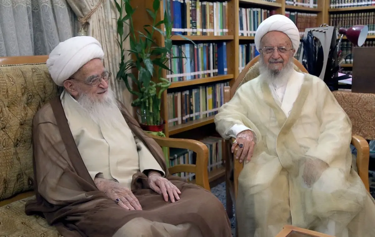 آیت الله مکارم: حضور موثر آیت الله صافی گلپایگانی در عرصه های مختلف اجتماعی منشأ برکات زیادی برای اسلام و انقلاب بود‌