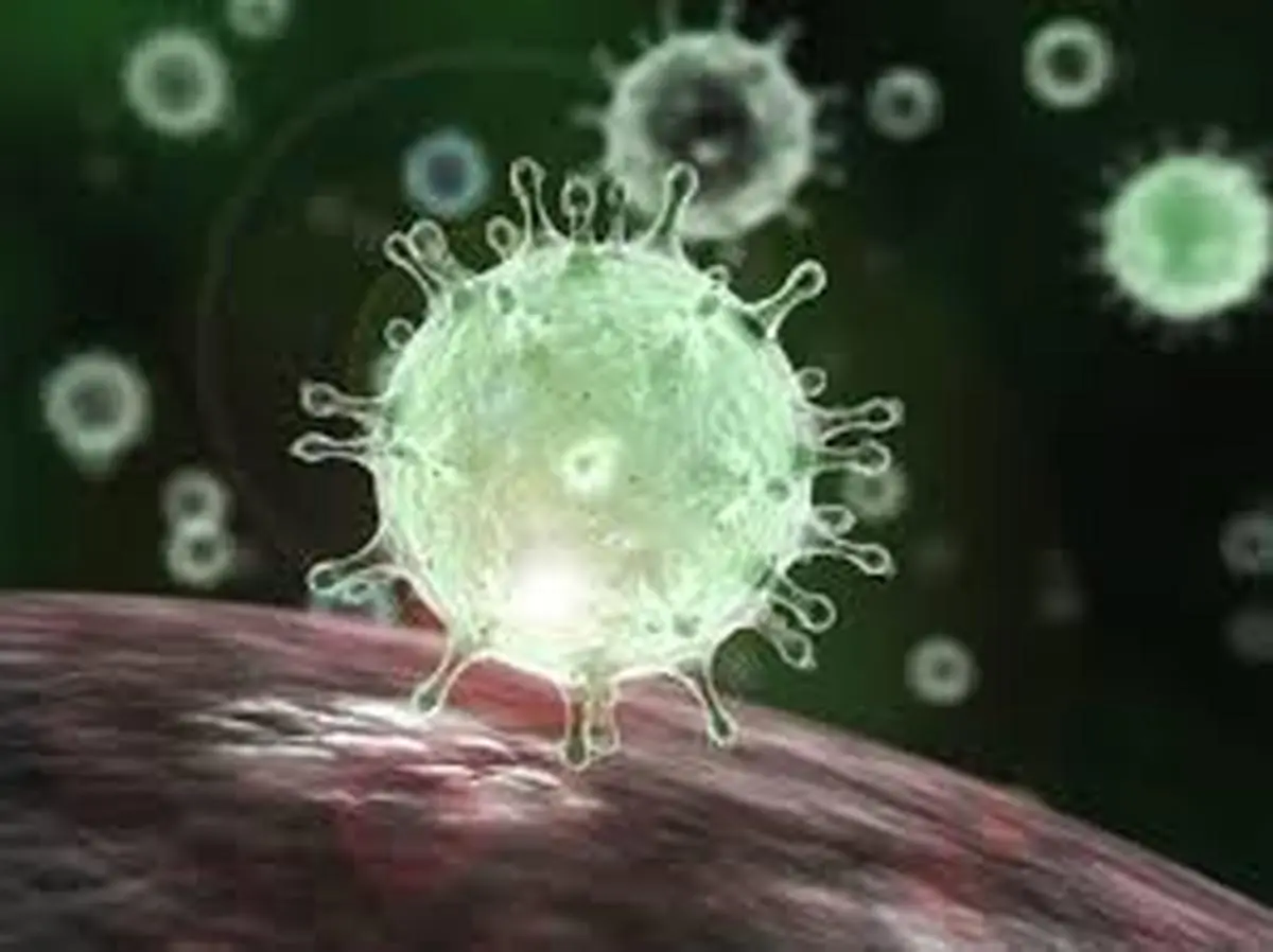 دانشگاه علوم پزشکی: هیچ موردی از ویروس کرونا در قم مشاهده نشده 