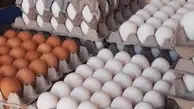 قیمت هر شانه تخم مرغ ۴۳ هزار تومان است +فیلم
