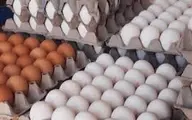 قیمت هر شانه تخم مرغ ۴۳ هزار تومان است +فیلم
