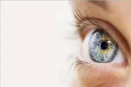چشم ها در مورد سلامتی ما چه می گویند؟