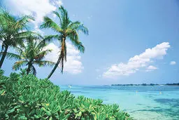 بدترین رکود توریسم در کجای جهان؟ | سازمان جهانی گردشگری جغرافیای آسیب کرونایی را تشریح کرد
