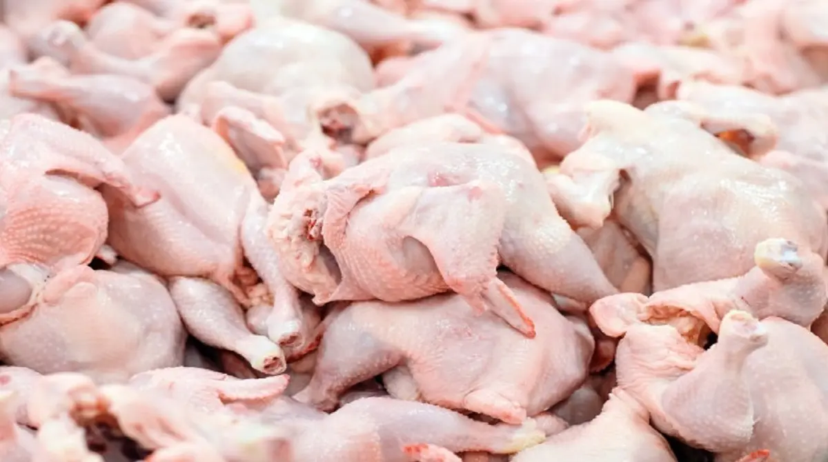متوسط قیمت مرغ در تهران بیش از ۳۰ هزار تومان است|امتناع از عرضه مرغ توسط برخی مرغداری‌ها 