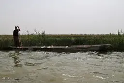 تالاب بین المللی شادگان بر روی گردشگران بسته شد