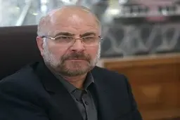 
قالیباف: پیگیری مسائل مردم تنها و تنهادغدغه مجلس است
