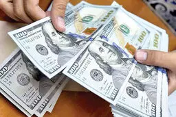 جزئیات قیمت رسمی انواع ارز|نرخ ۴۷ ارز ثابت ماند