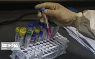  گلایه متخصصان علوم آزمایشگاهی در بحران ویروس کووید۱۹