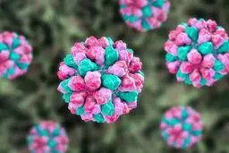 علائم نوروویروس چیست؟ 