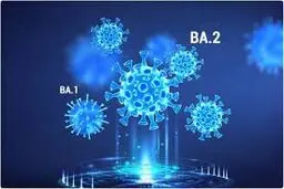 سویه BA.2 خطرناک است؟