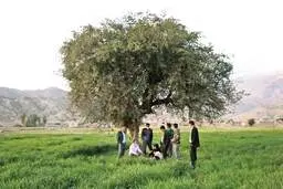 گزارش روزنامه هم میهن از روستای معروف به مال استریت پس از سقوط بورس |  سرنوشت مردم مال باخته ی این روستا چه شد؟ | مال‌استریت نمادی از ایران است 