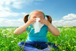 متولدین پاییز بیشتر به آلرژی مبتلا می شوند؟