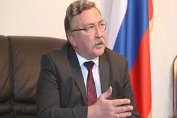 
 برداشت کلی از نشست امروز کمیسیون مشترک برجام در وین مثبت است