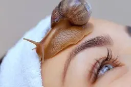 عجیب ترین درمان چین و چروک صورت |  «حلزون تراپی» کلک جدید کلینیک‌های زیبایی برای سود بیشتر!