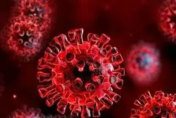 نکات مهم و حیاتی در دوران قرنطینه + جزئیات