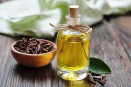 با این گیاه فوری دندان درد آرام کن | گیاه معجزه گر برای درد دندان