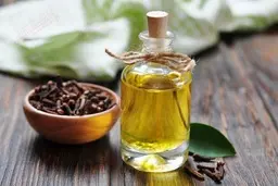 با این گیاه فوری دندان درد آرام کن | گیاه معجزه گر برای درد دندان