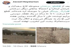 درختان ‎پارک چیتگر خیلی با حوصله اره شده‌اند | سرایت قطع درختان به مکان های دیگر 