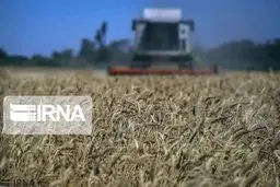 سنددار شدن دو میلیون هکتار اراضی کشاورزی تا پایان سال ۹۹