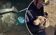نجات یک حیوان از گودال ۴.۵ متری!+ویدئو